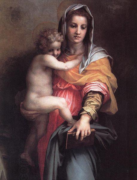 Andrea del Sarto Madonna of the Harpies oil painting picture